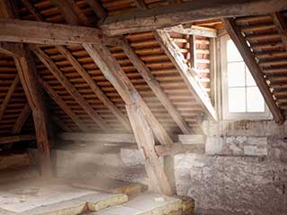 Attic Cleaning Services | Attic Cleaning Sherman Oaks, CA Attic Cleaning Services | Attic Cleaning Sherman Oaks, CA