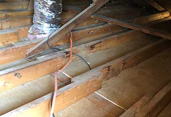Crawl Space Repair in Encino | Attic Cleaning Sherman Oaks