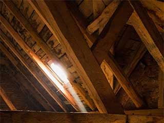 Insulation Removal Services | Attic Cleaning Sherman Oaks, CA Insulation Removal Services | Attic Cleaning Sherman Oaks, CA